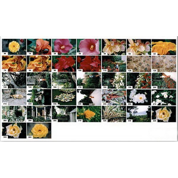 Index Print (Stykówka Cyfrowa)